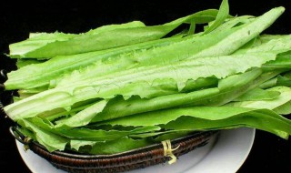 蒸油麦菜的做法（蒸油麦菜的做法窍门）