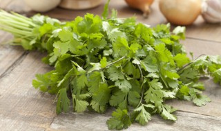 蒸香菜的做法（蒸香菜的做法大全家常）