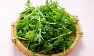 蒸茼蒿菜的做法（蒸茼蒿菜的做法大全视频）