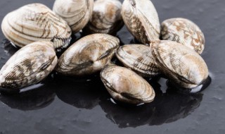 花蛤怎么保存方法 花蛤怎样保存