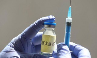 人打狂犬疫苗的保存方法 狂犬疫苗保存方式