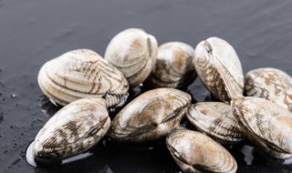 花甲的保存方法冬天(花甲储藏方法)