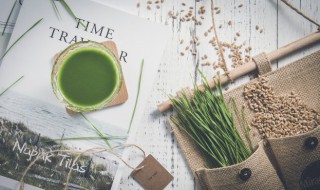 干小麦的保存方法（小麦的干燥方法）