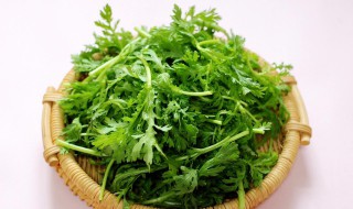 蒸桐蒿的做法 蒸茼蒿的做法大全