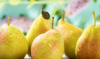 信阳梨果保存方法 梨子保存方法