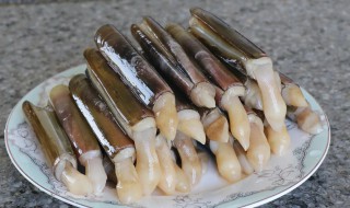 蒸海蛏子的做法（蒸海蛏子的做法大全）