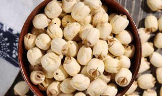 蒸莲子的做法（蒸莲子的做法大全）