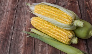 玉米怎么烤才好吃 空气炸锅烤玉米怎么烤才好吃