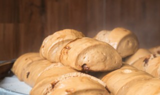 蒸馒头简单做法（蒸馒头的做法大全窍门）