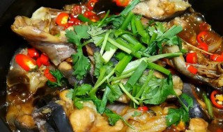 蒸鲶鱼的做法 蒸鲶鱼的家常做法