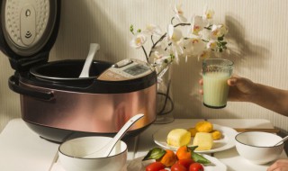 电饭锅可以放微波炉吗 电饭锅可以放进微波炉