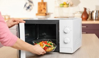 塑料可以放微波炉吗 塑料盒可以放微波炉吗