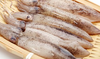 生鱿鱼怎么烤才好吃 烧烤鱿鱼怎么做好吃