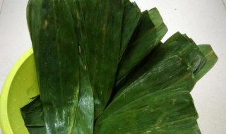 粽叶怎么烤才好吃 如何煮粽叶的做法步骤图