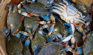 烤箱烤青蟹怎么做才好吃 青蟹烤箱做法