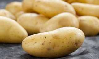 蒸土豆丝的家常做法 蒸土豆丝的家常做法窍门