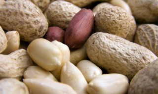 花生可以放微波炉吗（花生可以放微波炉吗?）