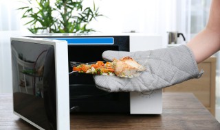 保温饭盒可以放微波炉吗（保温饭盒可以放微波炉吗?）