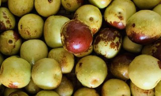 如何保存冬枣的方法 冬枣怎么保存方法