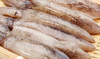 微波炉鱿鱼干怎么烤才好吃 微波炉怎样烤鱿鱼干