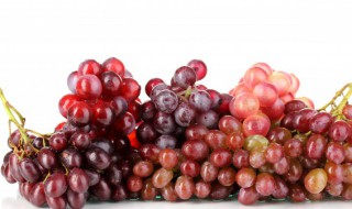 葡萄皮怎么烤才好吃（葡萄怎么弄最好吃）