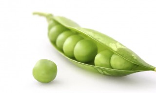 小豌豆的保存方法 豌豆咋样保存