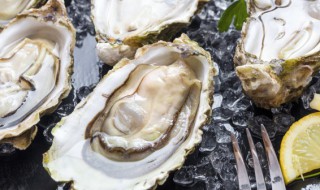 微波炉怎么烤生蚝才好吃(怎样用微波炉烤生蚝的做法)