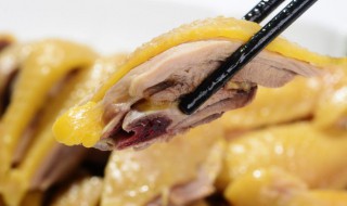 冰糖蒸鸡的做法（冰糖蒸鸡的做法和功效）