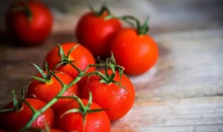 番茄的冰箱保存方法（番茄放冰箱怎么保存）