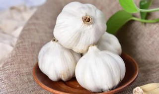 东北大蒜头的保存方法 大蒜头 保存