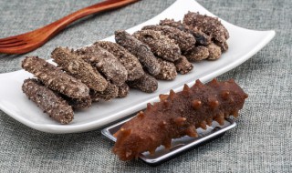 海参的泡发与保存方法 泡发好的海参的保存方法