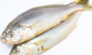 梦见冻鱼是什么意思(梦到冻鱼是什么意思)