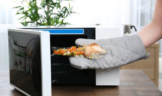 石头碗可以放微波炉吗 什么材质的碗可以放微波炉吗