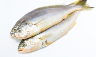 蒸小黄花鱼的做法（蒸小黄花鱼怎么做）