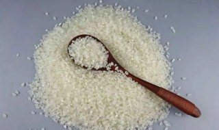 保存粮食不生虫的方法是什么（粮食怎么保存不长虫）