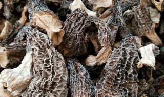 菌菇干保存方法 干香菇怎么保存