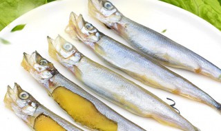 海鱼的保存方法（海鱼的保鲜与储藏）