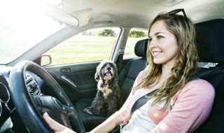 车上放玉的饰品可以吗(玉可以放车里吗)