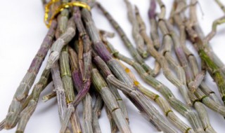 鲜铁皮石斛保存方法 铁皮石斛的贮存方法