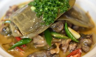 熟甲鱼放冰箱可以吗（熟甲鱼放冰箱还可以吃吗）