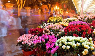 什么花好养又好看阳台 阳台什么花好养又好看又香