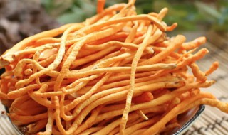 虫草花的保存方法（虫草花咋保存）