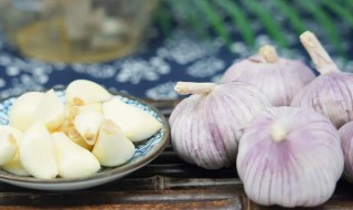 蒜子的保存方法（蒜子的保鲜方法）