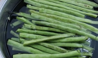 芸豆保存方法（芸豆怎样保鲜储存）