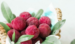 杨梅酒放红糖可以吗（杨梅酒要放糖吗）