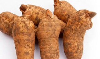 鲜天麻保存方法（新鲜天麻的正确保存方法）