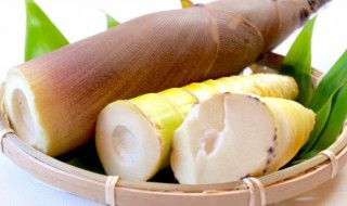 鲜竹笋保存方法 新鲜竹笋的保存方法和做法