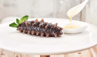 海参蒸着吃的做法 蒸海参的吃法