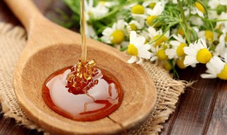 蜂蜜可以放冰箱保存吗 蜂蜜能放冰箱保存吗