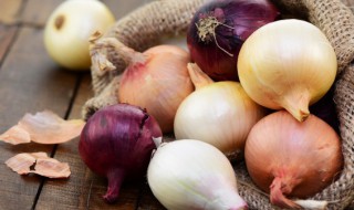 洋葱要放冰箱吗（洋葱需不需要放冰箱）